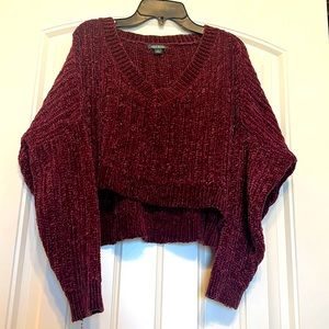 Wild fable crop sweater